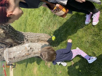 Potraga za uskršnjim jajima Potraga za uskršnjim jajima