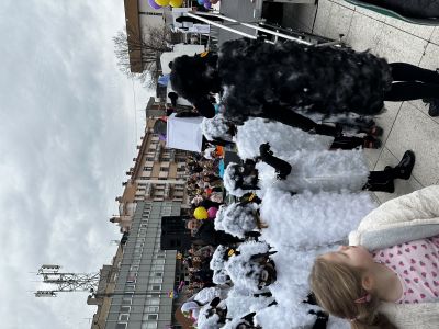 Volontiranje na gradskom Karnevalu Volontiranje na gradskom Karnevalu
