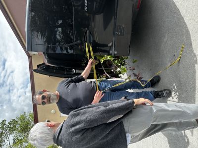 Provedene 2 volonterske akcije u 2 dana