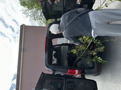 Provedene 2 volonterske akcije u 2 dana