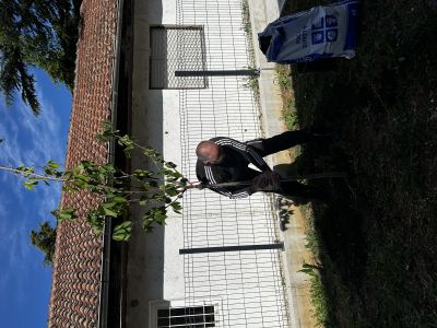 Provedene 2 volonterske akcije u 2 dana