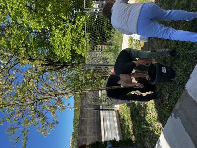 Provedene 2 volonterske akcije u 2 dana